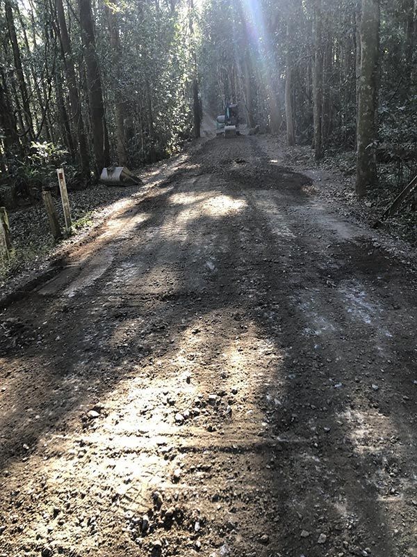 A Dirt Road in the Middle of a Forest With Trees on Both Sides — North Coast Asphalts in Corindi Beach, NSW