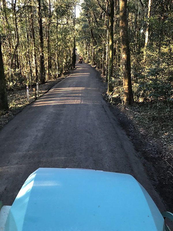 A Tractor is Driving Down a Dirt Road in the Woods — North Coast Asphalts in Corindi Beach, NSW
