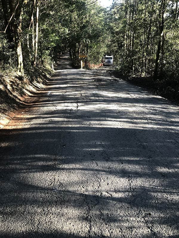 A Car is Driving Down a Road Surrounded by Trees — North Coast Asphalts in Corindi Beach, NSW