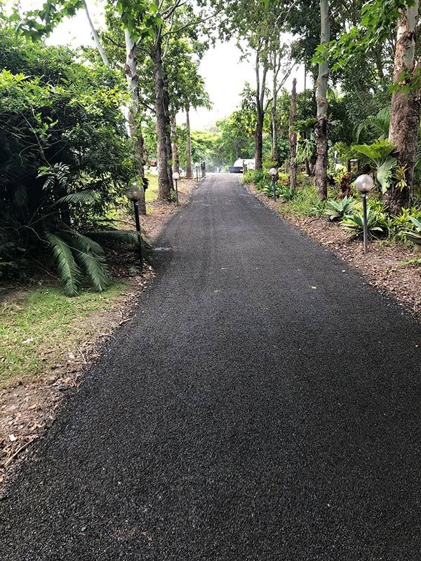 A Road Going Through a Forest With Trees on Both Sides — North Coast Asphalts in Corindi Beach, NSW