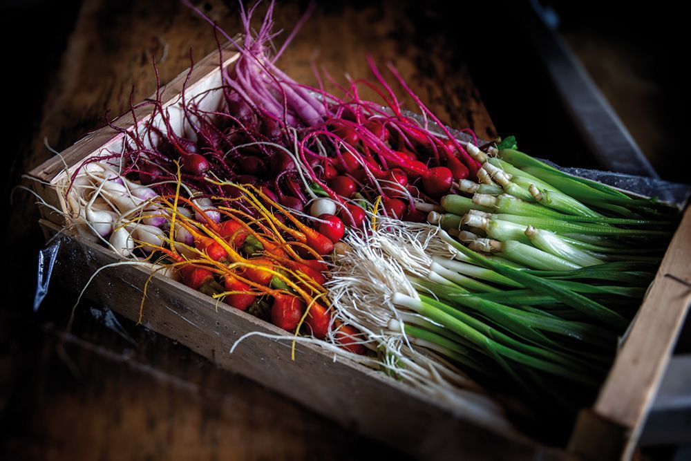 Caisse en bois remplie de radis colorés et d'oignons verts de chez Christophe Roy.