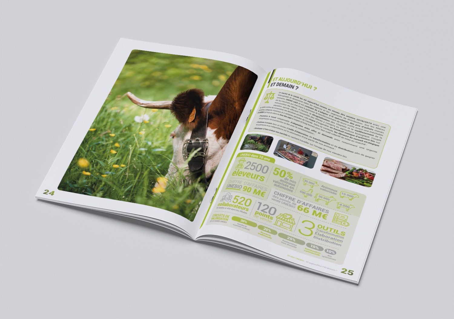 Pages intérieures plaquette 20 ans Unébio