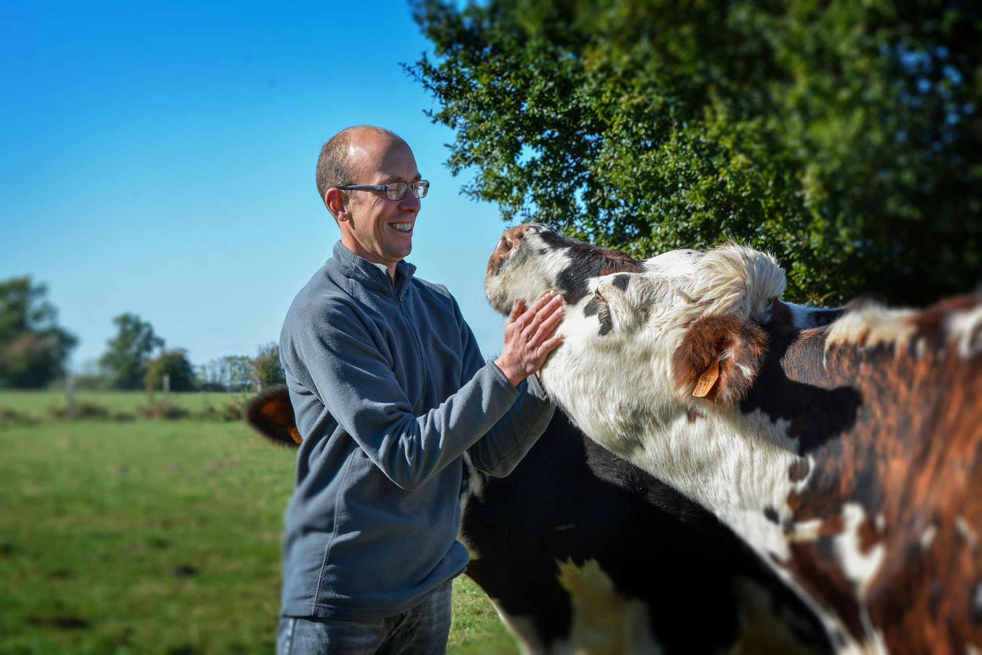 Éleveur bovin UNÉBIO