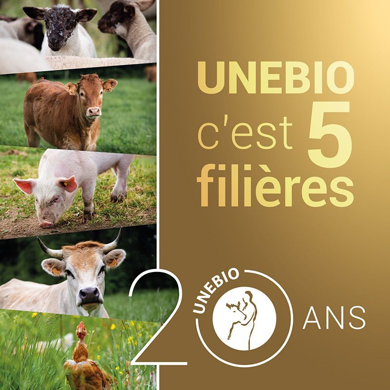 Poster UNEBIO 5 filières