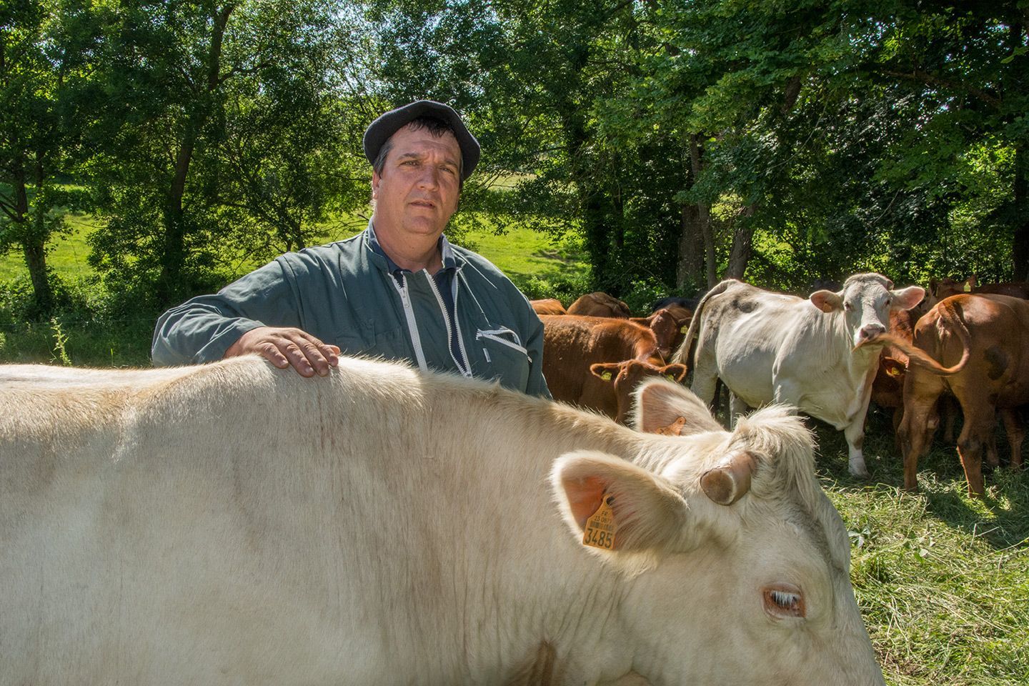 reportage photos éleveur Unebio