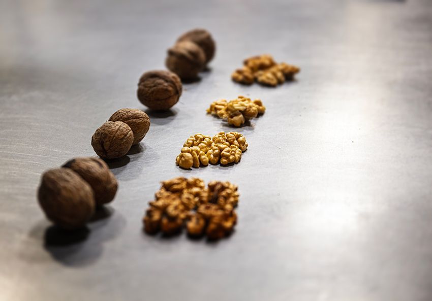 Noix dans la cuisine de Christophe Hay