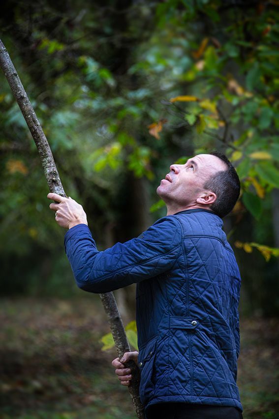 Ramassage des noix avec Christophe Hay