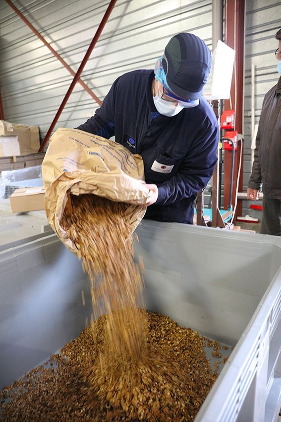 Fabrication de l'huile de noix à l'usine Guénard