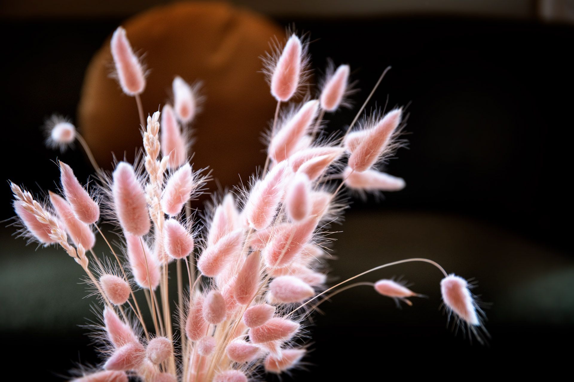 Décoration fleurale de l'auberge Pom'Poire situé à Azay-le-Rideau