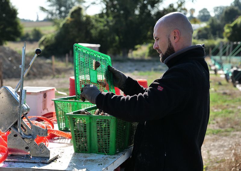 Emballage des escargots dans les filets