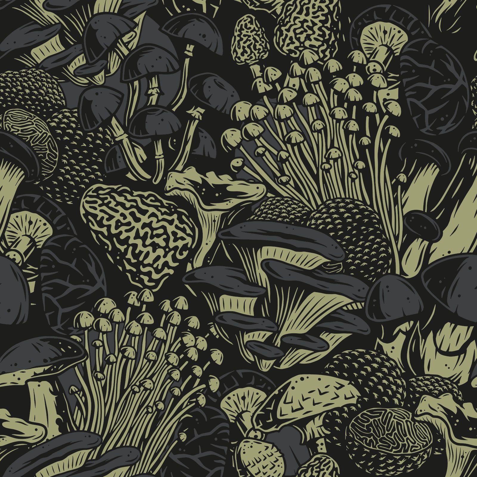 L'atelier de l'escargot Français, éleveur et producteur d'escargots Français