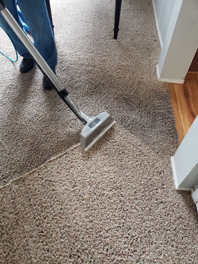 A person is cleaning a carpet with a vacuum cleaner.