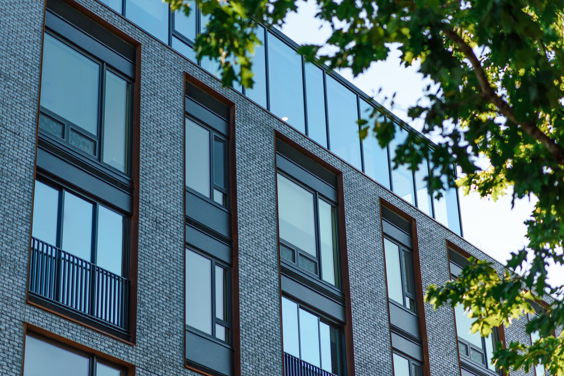 Modern brick building with large windows and glass rooftop, framed by tree branches.