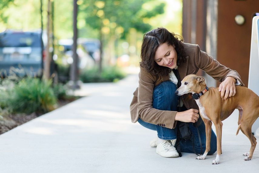 Woman kneeling on a sidewalk, petting a small brown dog; trees and building in the background.