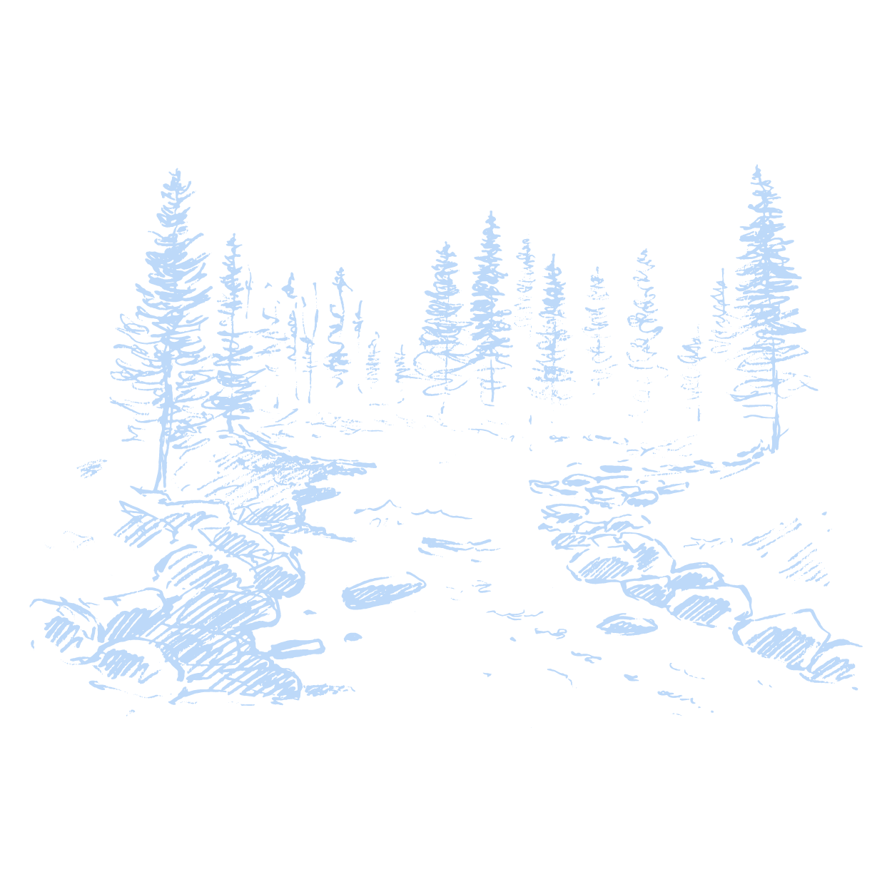 A serene path through a snow-covered forest with tall evergreens and large rocks.