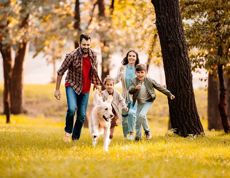 Family Running After Dog — Shingle Springs, CA — Reddy For Wellness