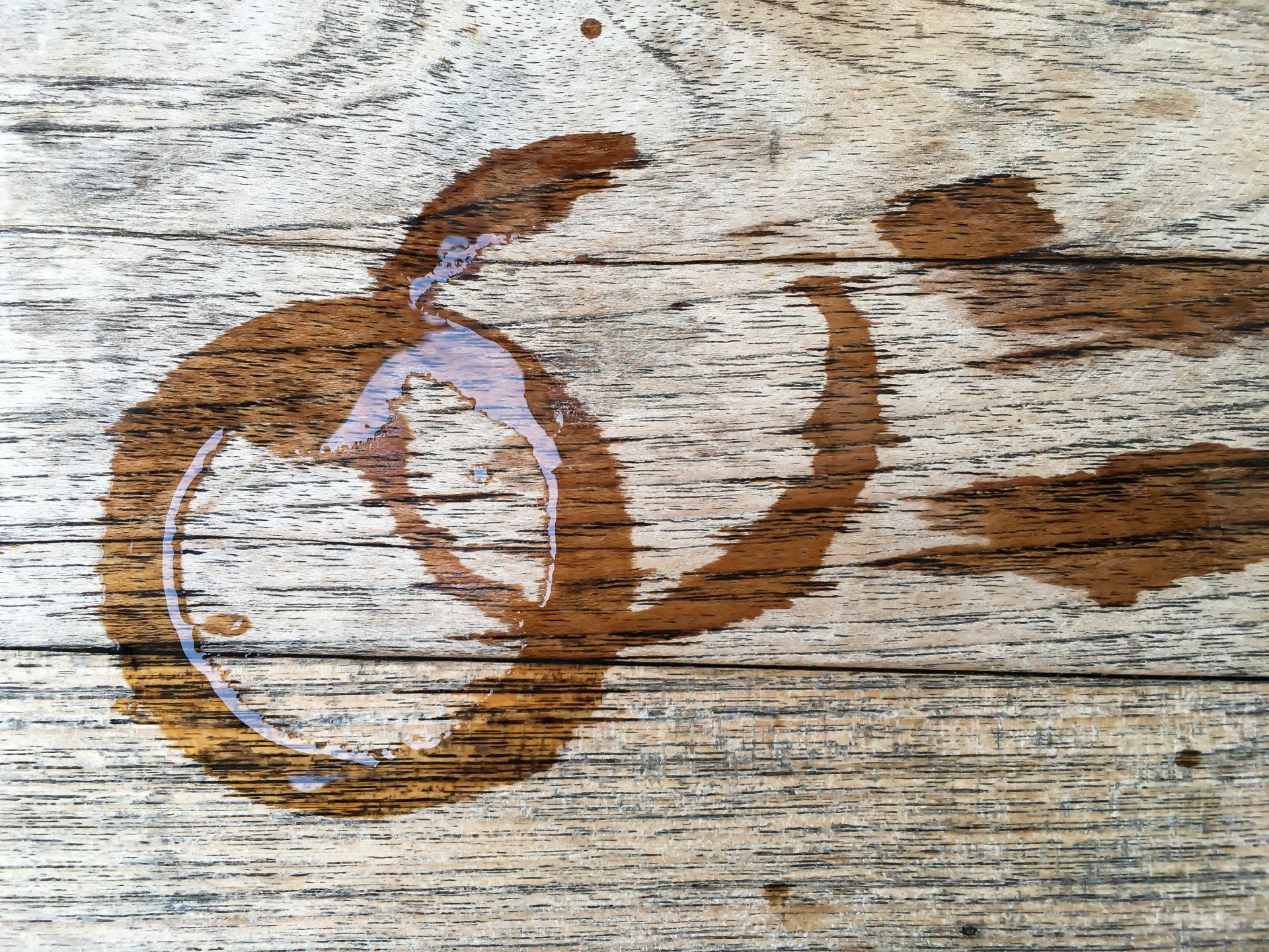 water rings on coffee table