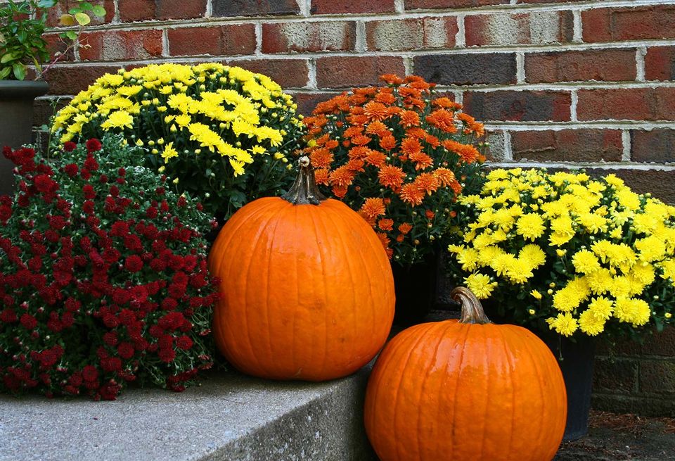 Fall Ready Front Porch