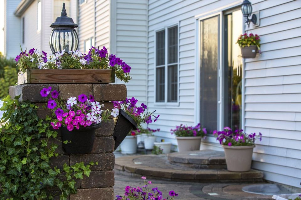 Pull it Together with Potted Plants