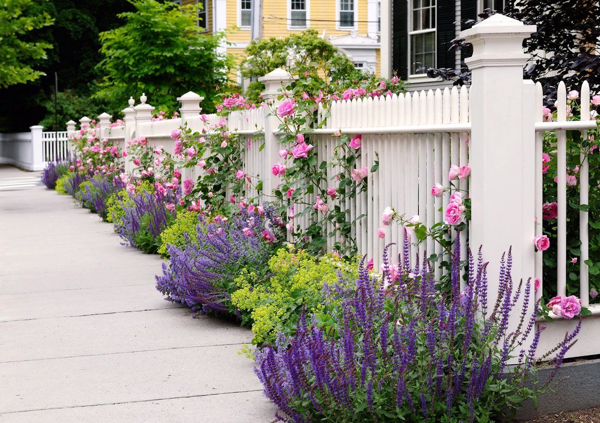 Tips to Make Your Garden Beautiful this Summer