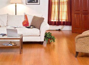 bamboo flooring