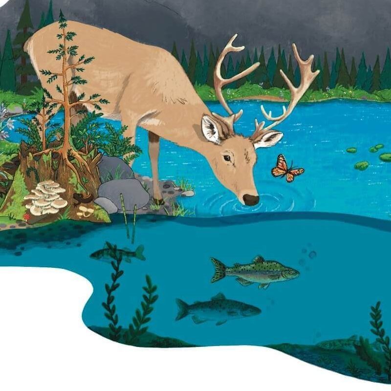 PNW nature inspired custom illustration for local nonprofit.