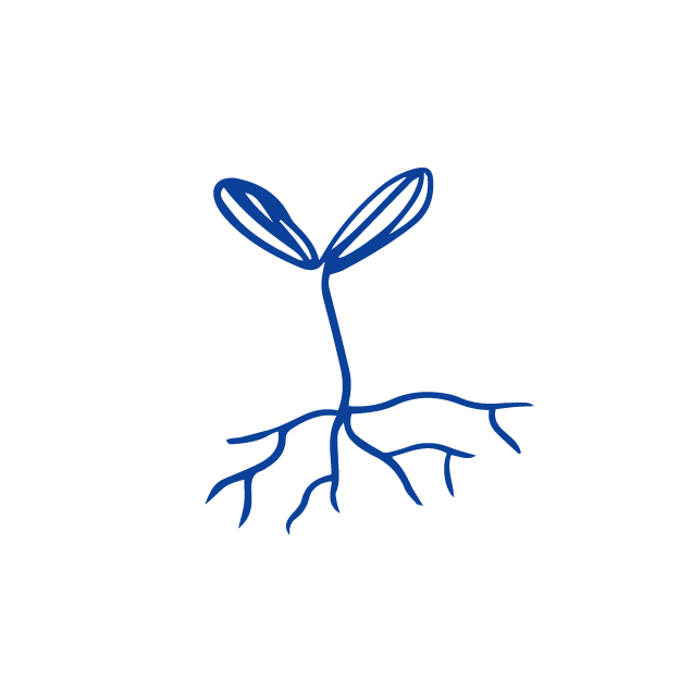 Minimal, one-color illustration of a sprout with roots.