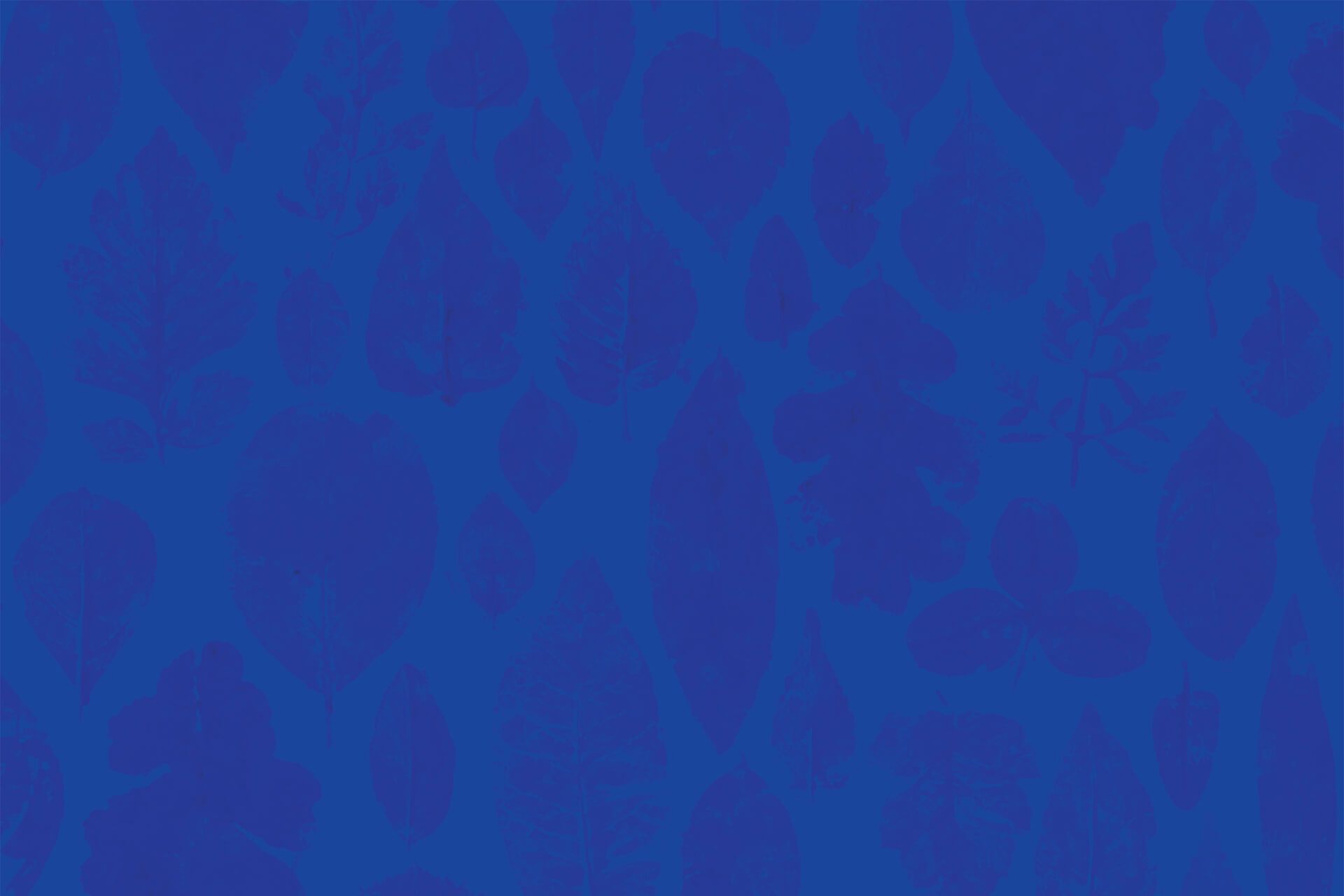 Two-toned blue pattern created with acrylic paint stamps of various leaves.
