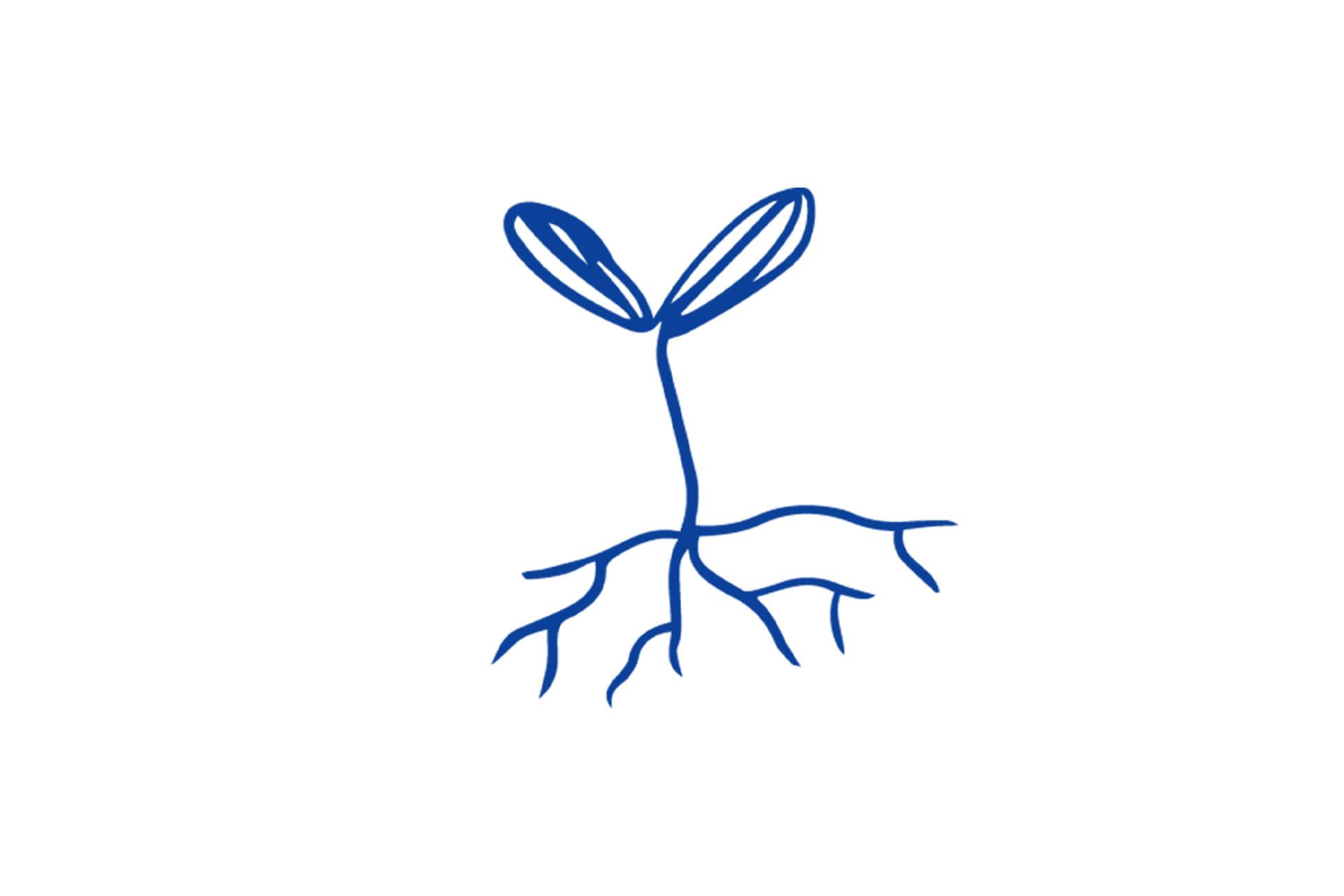 Minimal, one-color illustration of a sprout with roots.