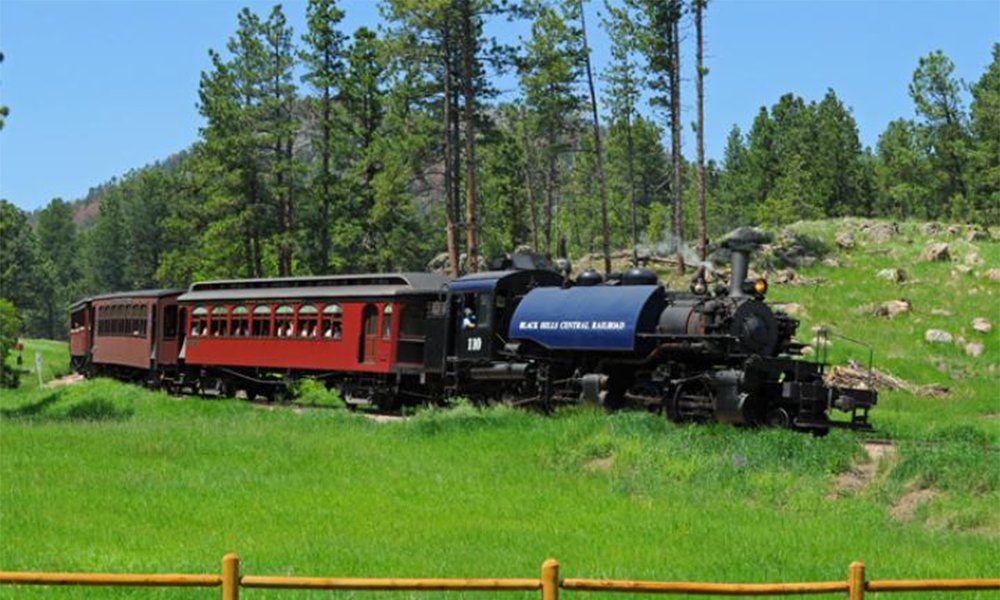A train is going through a grassy field with trees in the background.
