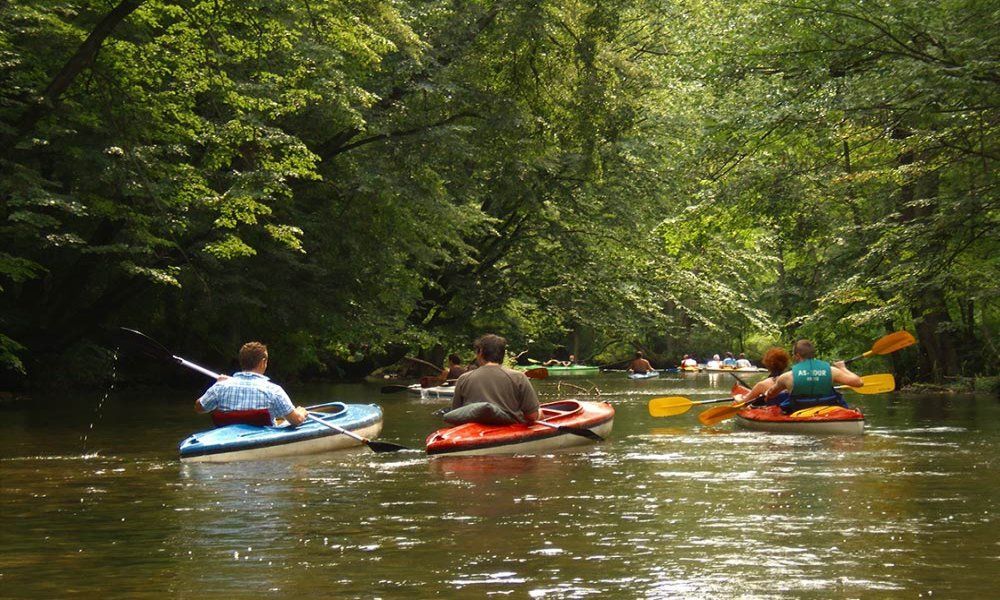 A group of people are paddling kayaks down a river.