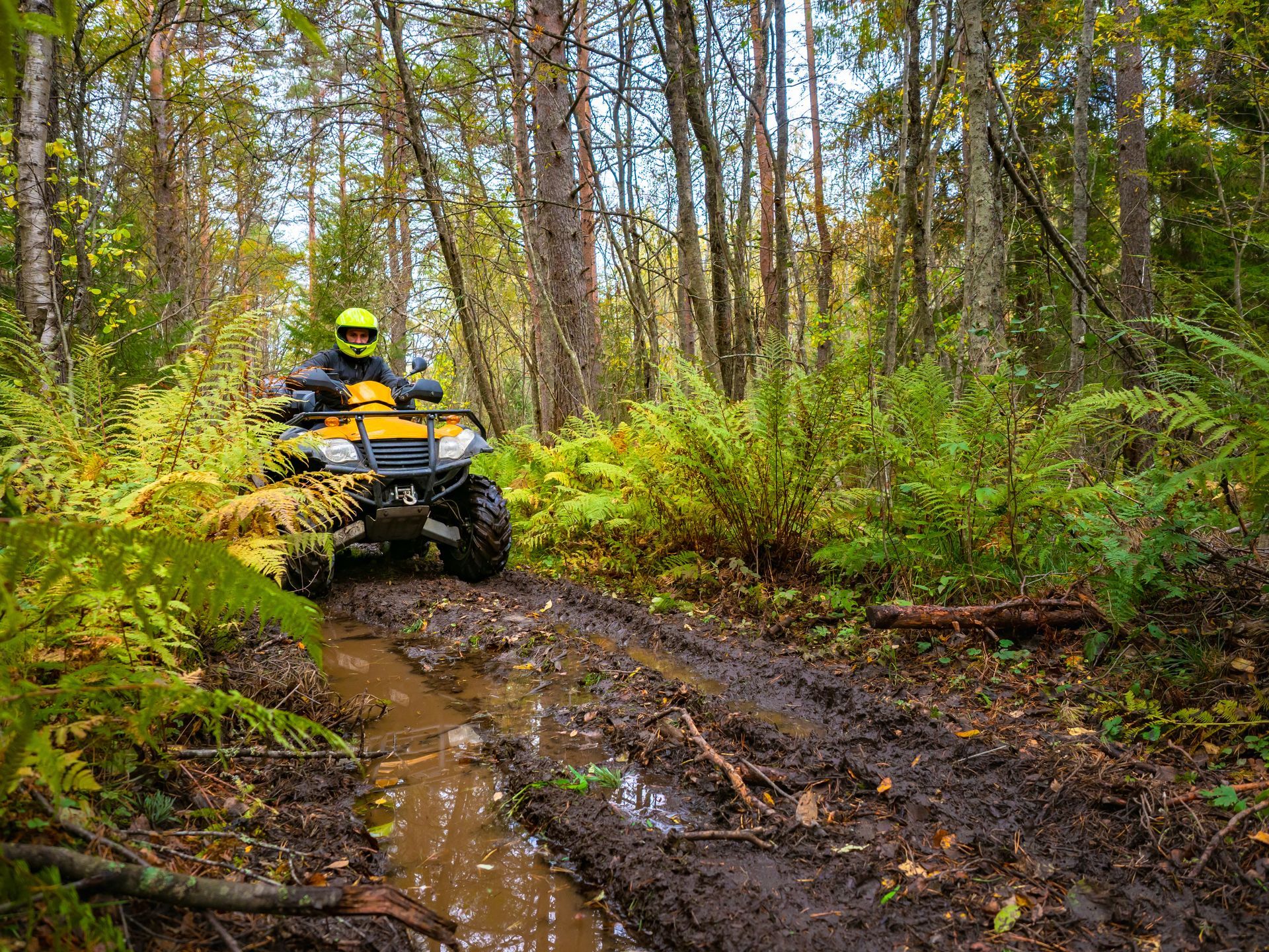 A man is riding a yellow atv through a muddy forest.