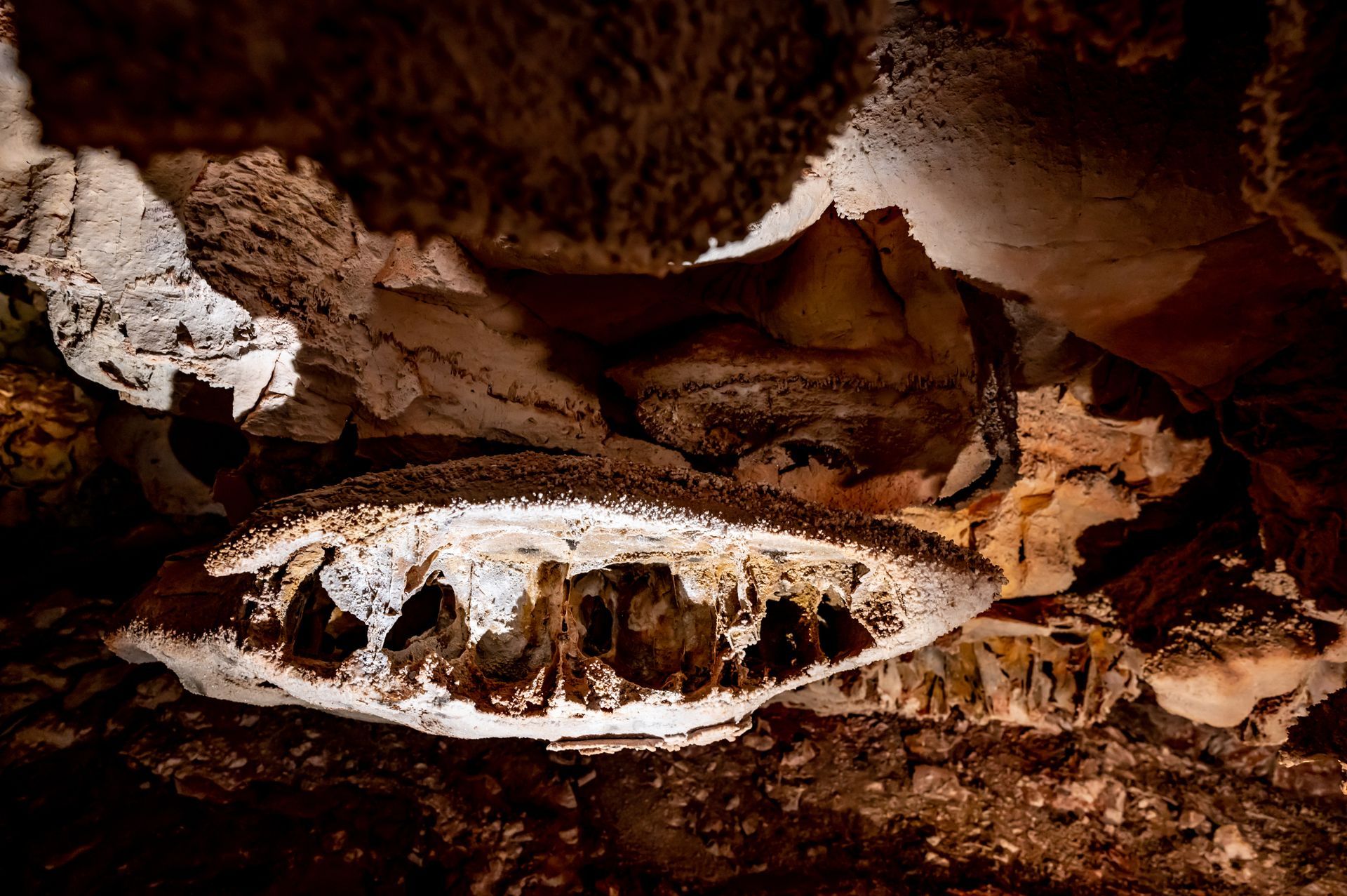 A snake is laying on the ground in a cave.