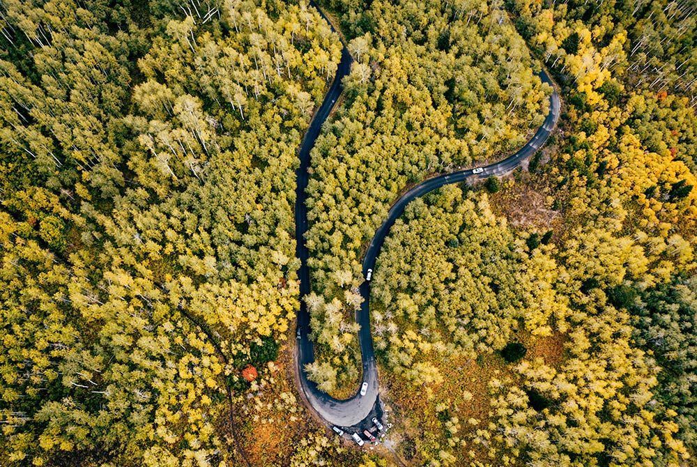An aerial view of a winding road through a forest.