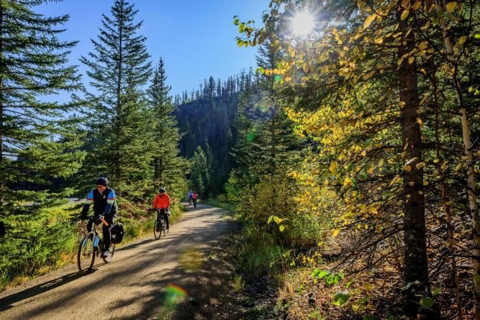 A group of people are riding bicycles down a dirt road in the woods.