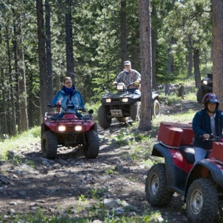 A group of people are riding atvs in the woods
