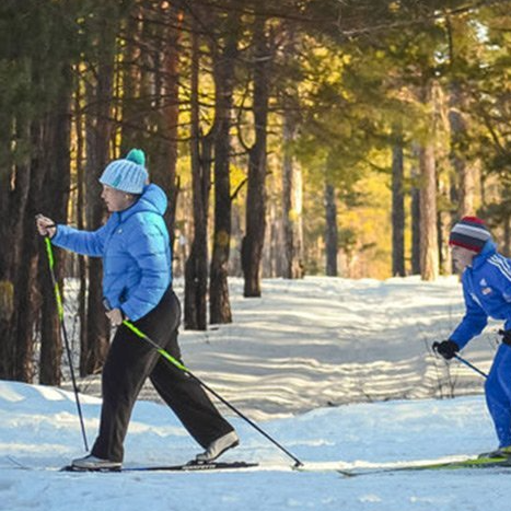 Two people skiing down a snowy path in the woods