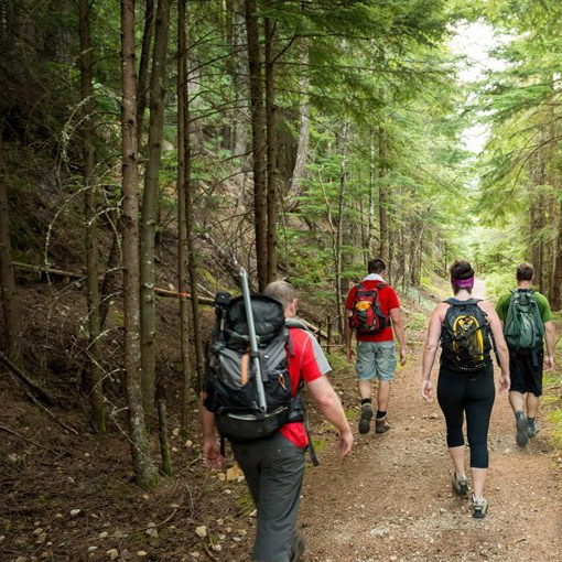A group of people with backpacks are walking down a path in the woods.