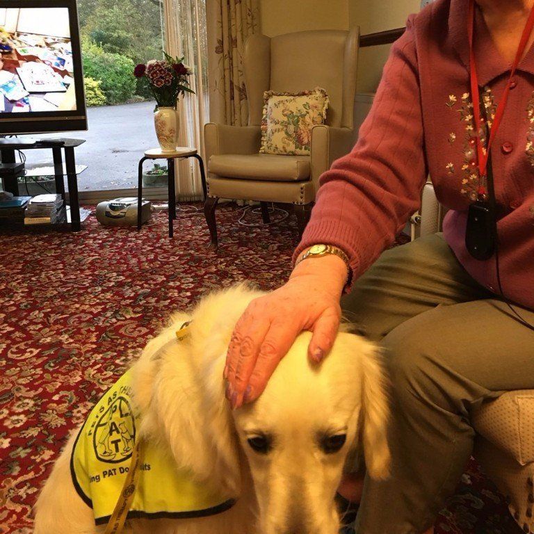 pets-therapy-at-avon-park-care-home