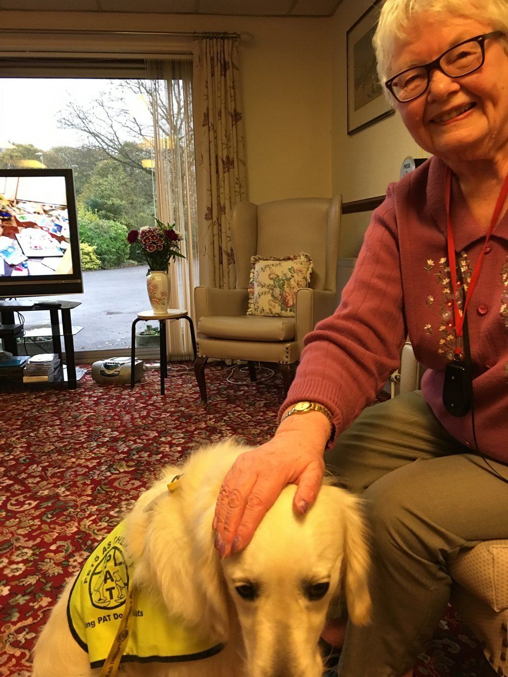 pets-therapy-at-avon-park-care-home