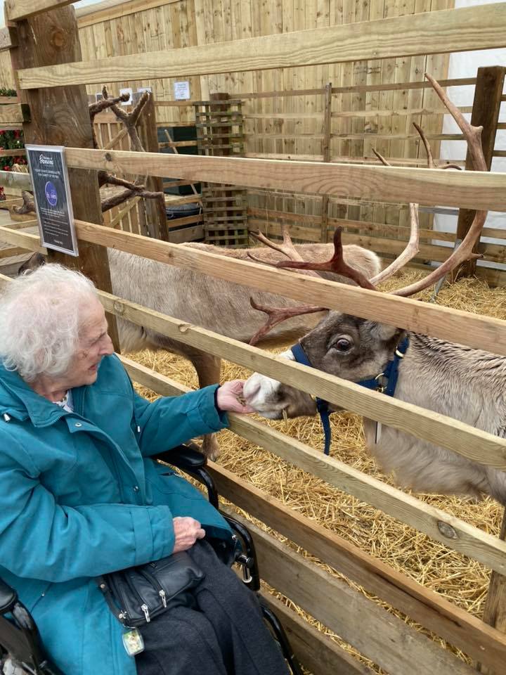 Avon Park Care Home residents visiting local farm