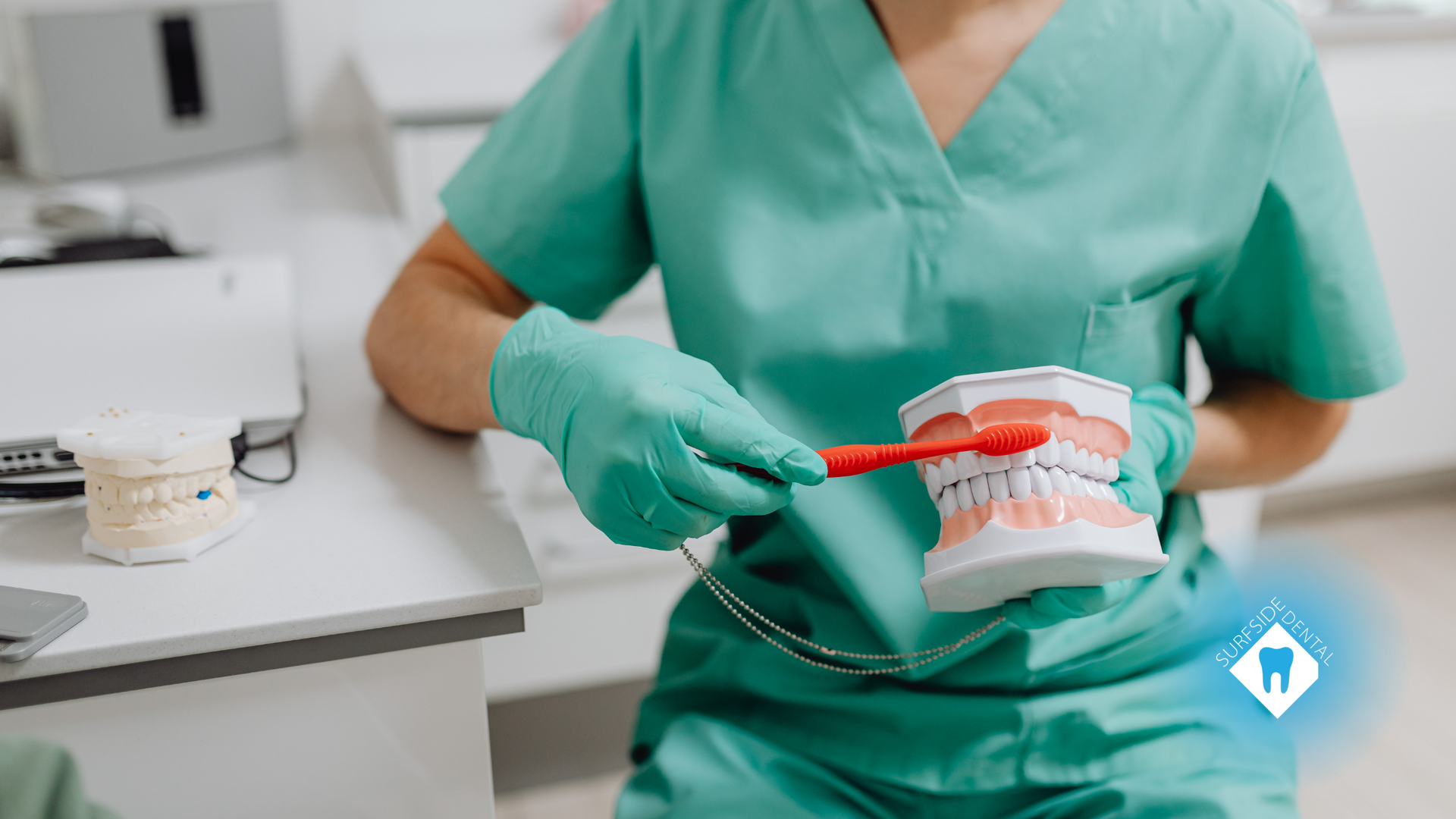 A dentist is brushing a model of teeth with a toothbrush.