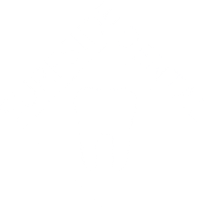 Surfside Dental Logo | Best Dentist in Cape Coral and Fort Myers, Florida