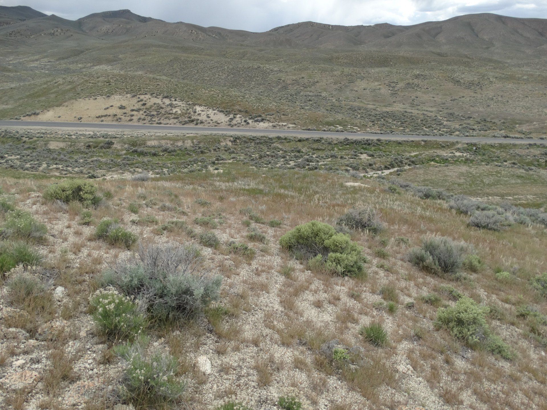 Nevada Land for Sale Hunting Land Mountain Land Acreage for Sale