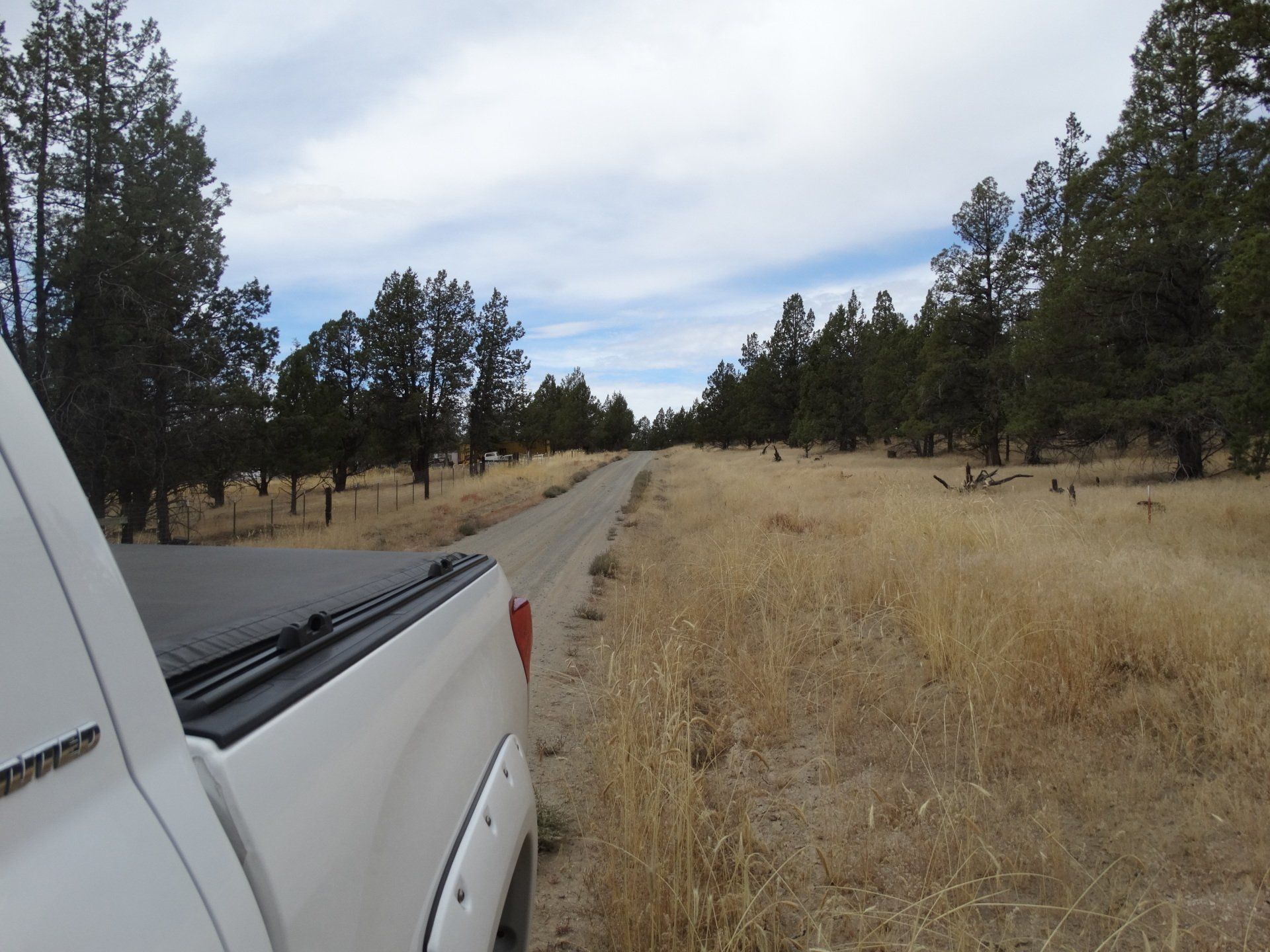 Rural Land for Sale Undeveloped Property Modoc Recreational Estates