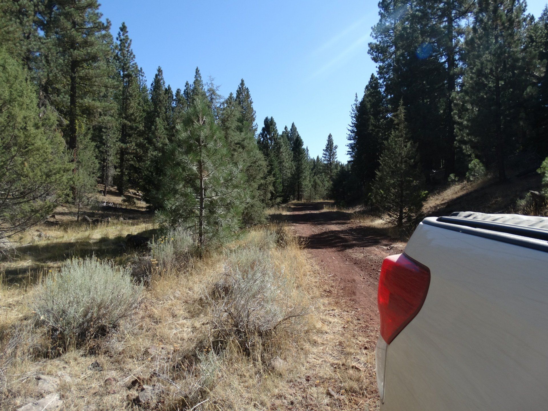 Rural Land for Sale Undeveloped Property California Pines Modoc