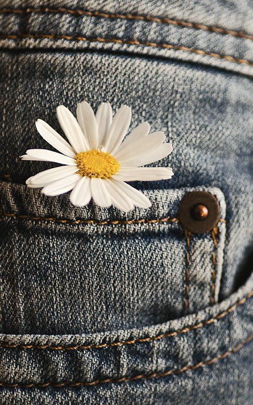 Denim Pants With Flower — Broadview, IL — New To You Resale