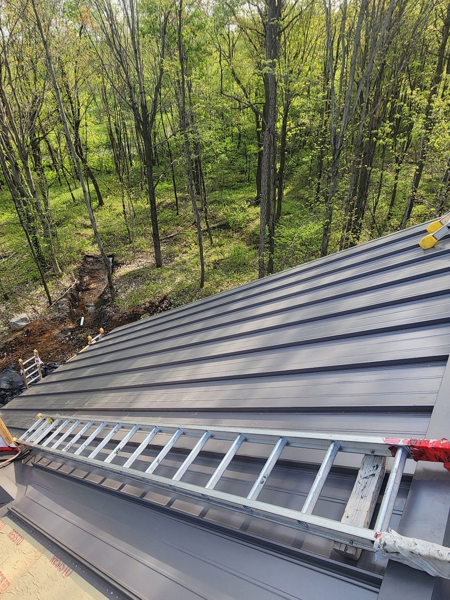 Échelle sur un toit de tuiles grises avec des arbres en arrière-plan.