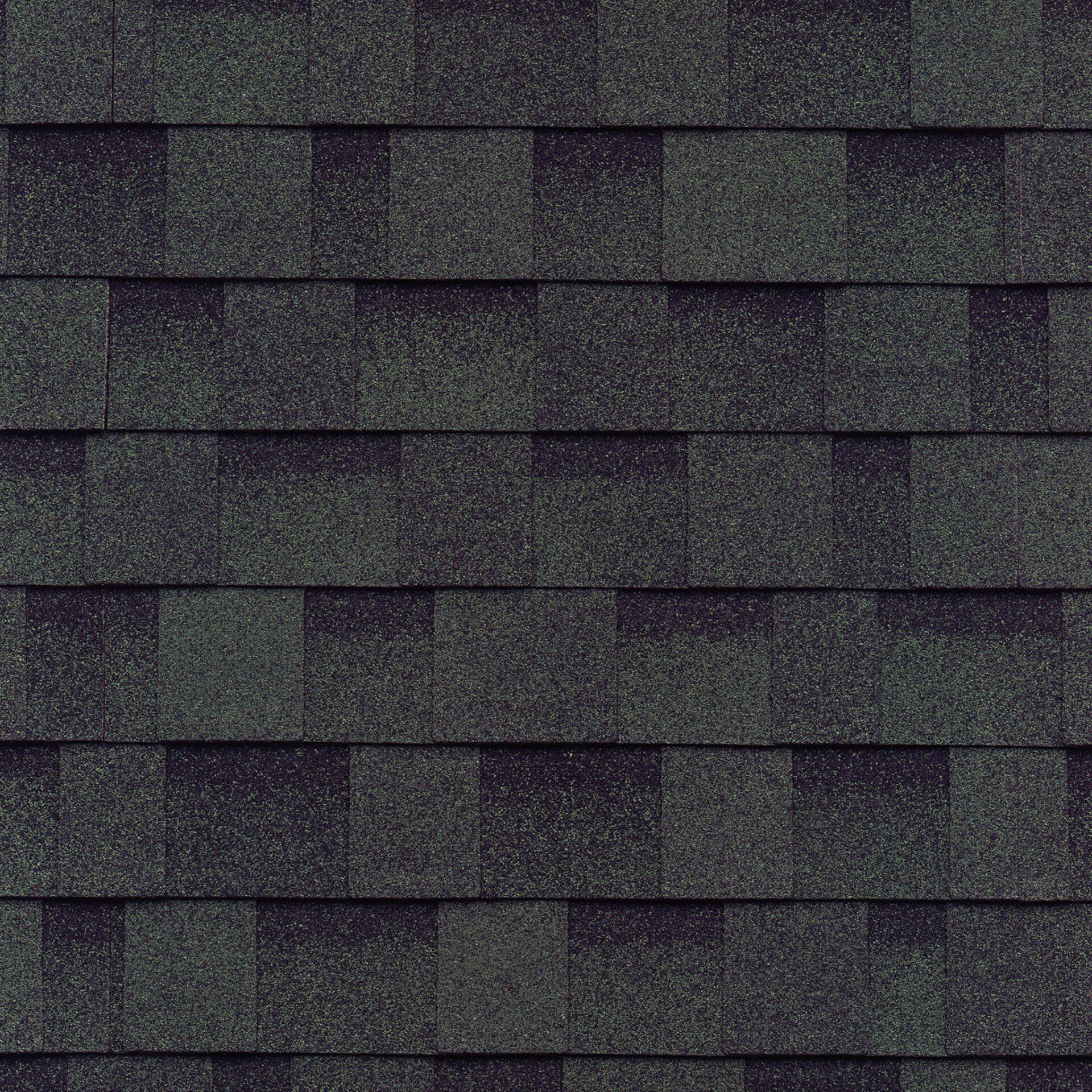 Un gros plan d'un toit avec des bardeaux noirs.