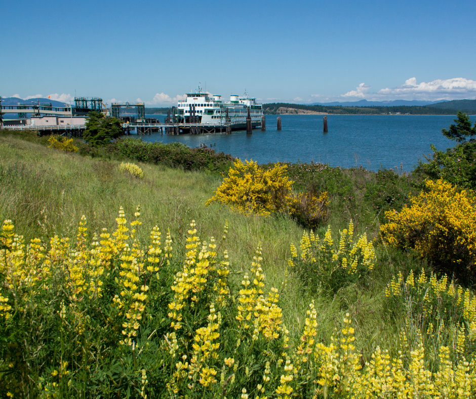 360 Property Management Oak Harbor, WA Rentals & Management